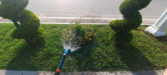 Yevlaxda növbəti iməcilik təşkil edilib
