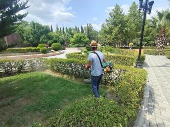 Yevlaxda növbəti iməcilik təşkil edilib