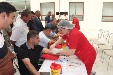 Yevlaxda qanvermə aksiyası keçirilmişdir