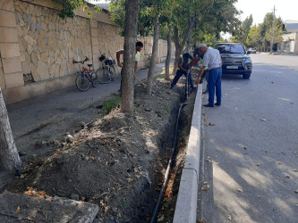 Yevlax şəhərinin işıqlandırma sisteminin yenidənqurulması işləri davam etdirilir