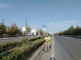 Yevlaxda növbəti iməcilik təşkil olunub