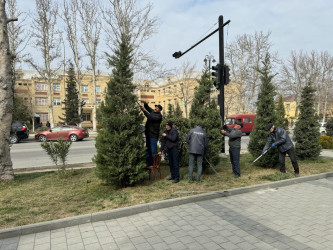 Yevlaxda yaşıllıqlara qulluq göstərilir