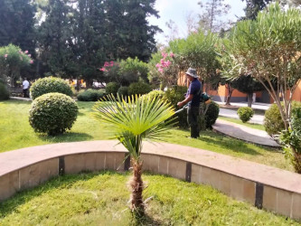 Yevlaxda növbəti iməcilik təşkil edilib