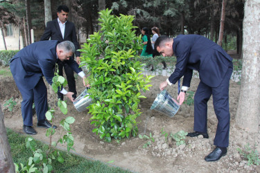 Mayın 10-da Yevlax şəhərində Ümummilli Lider Heydər Əliyevin anadan olmasının 101-ci ildönümü qeyd olunub