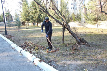 Yevlaxda növbəti iməcilik keçirilib