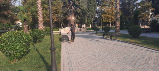 Yevlaxda növbəti iməcilik təşkil edilib