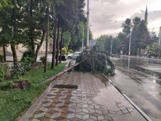 Yevlaxda küləyin və güclü yağışın fəsadları aradan qaldırılır