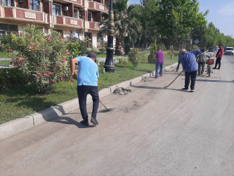 "Yaşıl dünya həmrəylik ili” çərçivəsində Yevlaxda növbəti iməcilik təşkil edilmişdir