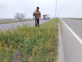 Genişmiqyaslı təmizlik aksiyaları həyata keçirilir