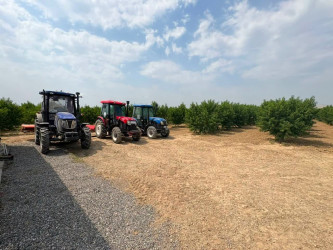 İcra Hakimiyyətinin Başçısı “Agrotop” MMC-yə məxsus meyvə bağında olub