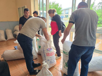 Yevlaxda yaş barama tədarükü davam etdirilir