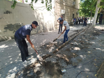 Yevlax Şəhər İcra Hakimiyyəti tərəfindən Nizami prospekti boyunca əsaslı təmir-tikinti işləri davam etdirilir
