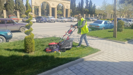 Yevlaxda yaşıllıqlara qulluq göstərilib