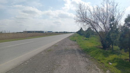 Genişmiqyaslı təmizlik aksiyaları həyata keçirilir