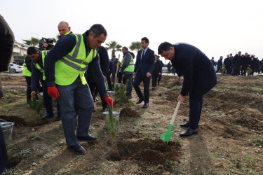 “Şəhərsalma və Memarlıq İli” çərçivəsində Yevlaxda növbəti ağacəkmə aksiyası keçirilib