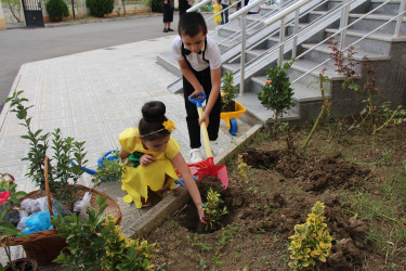 “Heydər Əliyev ili” çərçivəsində Yevlaxda növbəti tədbir keçirilmişdir