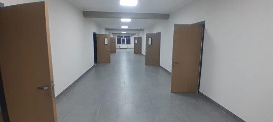 Yevlax Şəhər İcra Hakimiyyətinin Başçısı Anar Tağıyev S.Vurğun adına Şəhər 5 nömrəli tam orta ümumtəhsil məktəbdə həyata keçirilən tikinti işləri ilə yerində tanış olub.