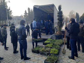 Yevlaxda “Yaşıl dünya naminə həmrəylik ili” çərçivəsində yaşıllaşdırma işləri davam etdirilir