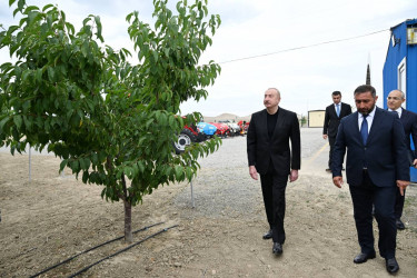 Azərbaycan Respublikasının Prezidenti İlham Əliyev iyunun 23-də Yevlax pilot aqroparkının açılışında iştirak edib.