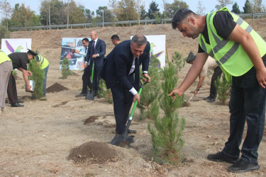 Yevlaxda 27 Sentyabr-Anım Günü ilə əlaqədar ağacəkmə aksiyası keçirilib