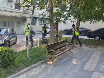 Yevlax Şəhər İcra Hakimiyyəti tərəfindən “Şəhərsalma və Memarlıq İli” çərçivəsində sakinlərdə təbiətə qayğı və ətraf mühitə məsuliyyətli münasibətin formalaşdırılması, yaşıllıqların artırılmasının təşviq edilməsi, eləcə də ekoloji maarifləndirmə işlərinə töhfə vermək məqsədilə şəhərin müxtəlif ərazilərini əhatə edən növbəti iməcilik təşkil olunub.