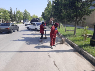 "Yaşıl dünya həmrəylik ili” çərçivəsində Yevlaxda növbəti iməcilik təşkil edilmişdir