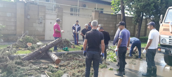 Yevlaxda küləyin və güclü yağışın fəsadları aradan qaldırılır