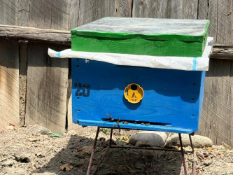 Yevlax Şəhər İcra Hakimiyyətinin Başçısı gənc arıçı ilə görüşüb