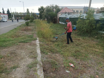 Yevlaxda “Yaşıl dünya naminə həmrəylik ili” çərçivəsində iməciliklərin keçirilməsi ənənəyə çevrilib