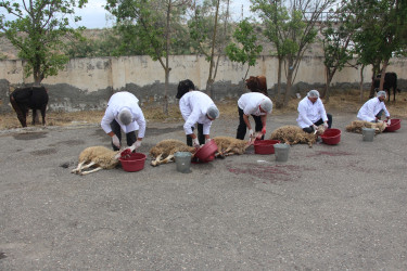 Hər il olduğu kimi bu il də Yevlaxda Müqəddəs Qurban bayramı qeyd edilmişdir