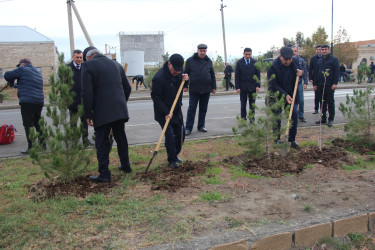 Yevlaxda “Heydər Əliyev ili” çərçivəsində ağacəkmə aksiyası keçirildi