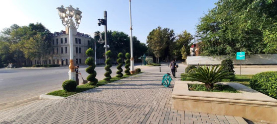 Yevlaxda növbəti iməcilik təşkil edilib