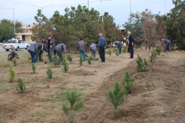 Yevlaxda 27 sentyabr-Anım Günü münasibətilə ağacəkmə aksiyası keçirilmişdir