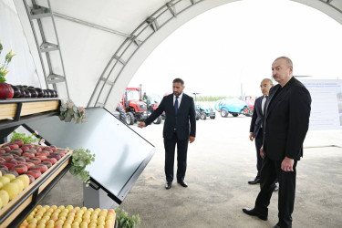 Azərbaycan Respublikasının Prezidenti İlham Əliyev iyunun 23-də Yevlax pilot aqroparkının açılışında iştirak edib.