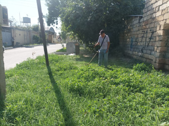 Yevlaxda “Yaşıl dünya naminə həmrəylik ili” çərçivəsində növbəti iməcilik keçirilmişdir