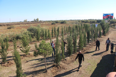 Yevlaxda “Yaşıl dünya naminə həmrəylik ili” çərçivəsində həyata keçirilən silsilə ağacəkmə aksiyası davam etdirilib