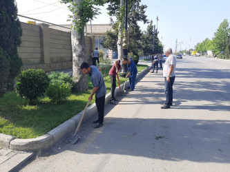 "Yaşıl dünya həmrəylik ili” çərçivəsində Yevlaxda növbəti iməcilik təşkil edilmişdir