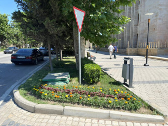 Şəhər ərazisində müxtəlif növ dekorativ gül kolları və çiçəklər əkilib