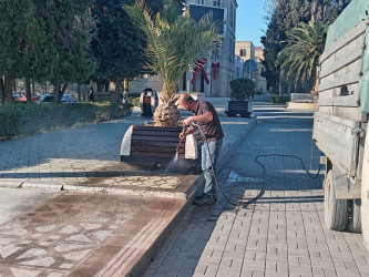 Şəhər ərazisində növbəti iməcilik təşkil edilib.