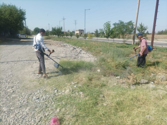 Yevlaxda “Yaşıl dünya naminə həmrəylik ili” çərçivəsində növbəti iməcilik keçirilmişdir