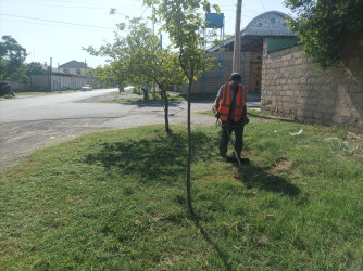 Yevlaxda “Yaşıl dünya naminə həmrəylik ili” çərçivəsində növbəti iməcilik keçirilmişdir