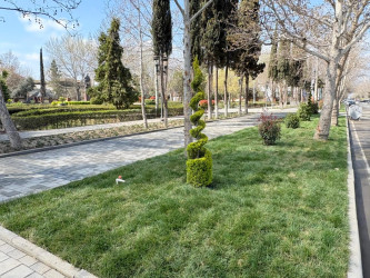 Yevlax Şəhər İcra Hakimiyyəti tərəfindən “Şəhərsalma və Memarlıq İli” çərçivəsində şəhərdə abadlıq-quruculuq işləri davam etdirilir