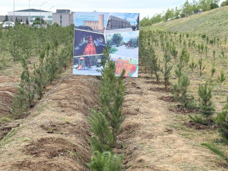 Yevlaxda Xalqımızın Ümummilli Lideri Heydər Əliyevin anadan olmasının 103-cü ildönümünə həsr olunmuş ağacəkmə aksiyası keçirilib