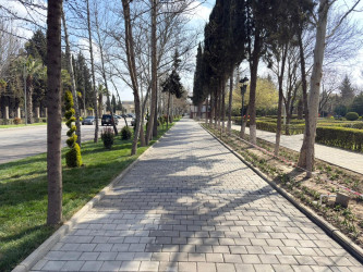 Yevlax Şəhər İcra Hakimiyyəti tərəfindən “Şəhərsalma və Memarlıq İli” çərçivəsində şəhərdə abadlıq-quruculuq işləri davam etdirilir