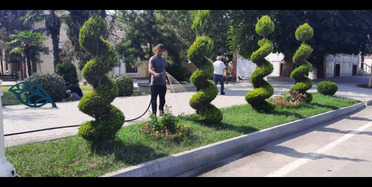 Yevlaxda növbəti iməcilik təşkil edilib