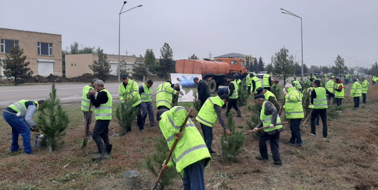 Yevlaxda “Yaşıl dünya naminə həmrəylik ili” çərçivəsində növbəti ağacəkmə aksiyası keçirilmişdir