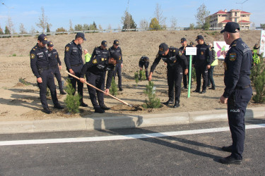 Yevlaxda 8 Noyabr-Zəfər Gününün beşinci ildönümü münasibətilə ağacəkmə aksiyası təşkil edilmişdir