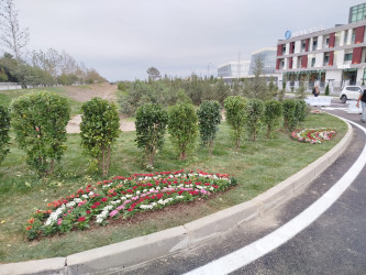 27 Sentyabr-Anım Gününə həsr olunmuş ağacəkmə aksiyası keçirilmişdir