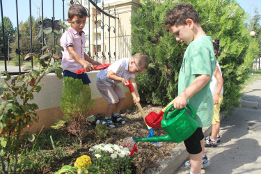 “Konstitusiya və Suverenlik İli” çərçivəsində növbəti tədbir Şəhər 1 nömrəli körpələr evi-uşaq bağçasında keçirilmişdir