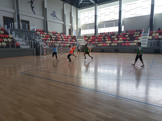 Yevlaxda Ümumdünya Sağlamlıq Günü münasibətilə müxtəlif tədbirlər keçirilib